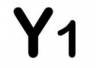 Y1